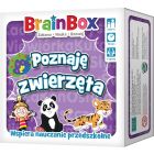 Gra BrainBox - Poznaję zwierzęta