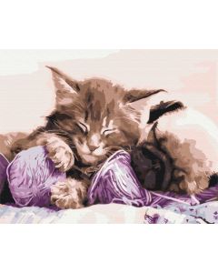 Obraz Paint it! Malowanie po numerach. Kot i pies GXP-792689