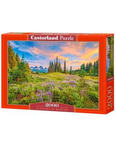 Puzzle 2000 elementów Górska polana Blossom of Morning