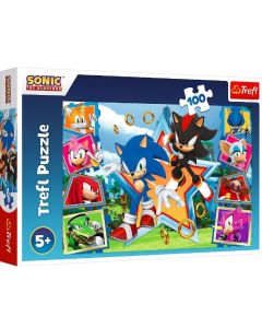 Puzzle 100 elementów Poznaj Sonica Sonic GXP-877119