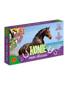 Gra Domino obrazkowe. Konie GXP-886529