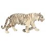Biały tygrys GXP-521515