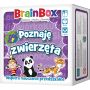 Gra BrainBox - Poznaję zwierzęta