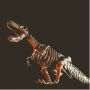 Zestaw naukowy Crazy science Smoki i dinozaury GXP-830385