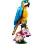 Klocki Creator 31136 Egzotyczna papuga
