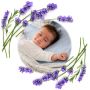 Baby Ono Termofor z pestkami wiśni CHERRY 5905317670081